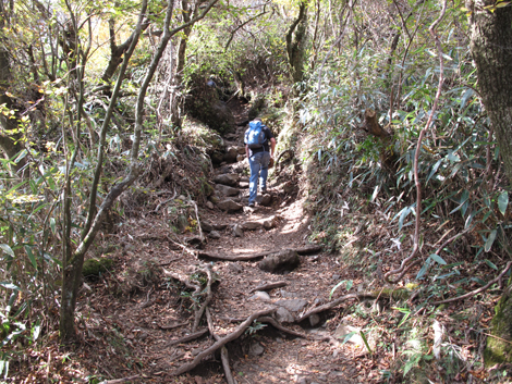 20181025hike (81)
